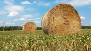 Société agricole De la constitution .... à la dissolution