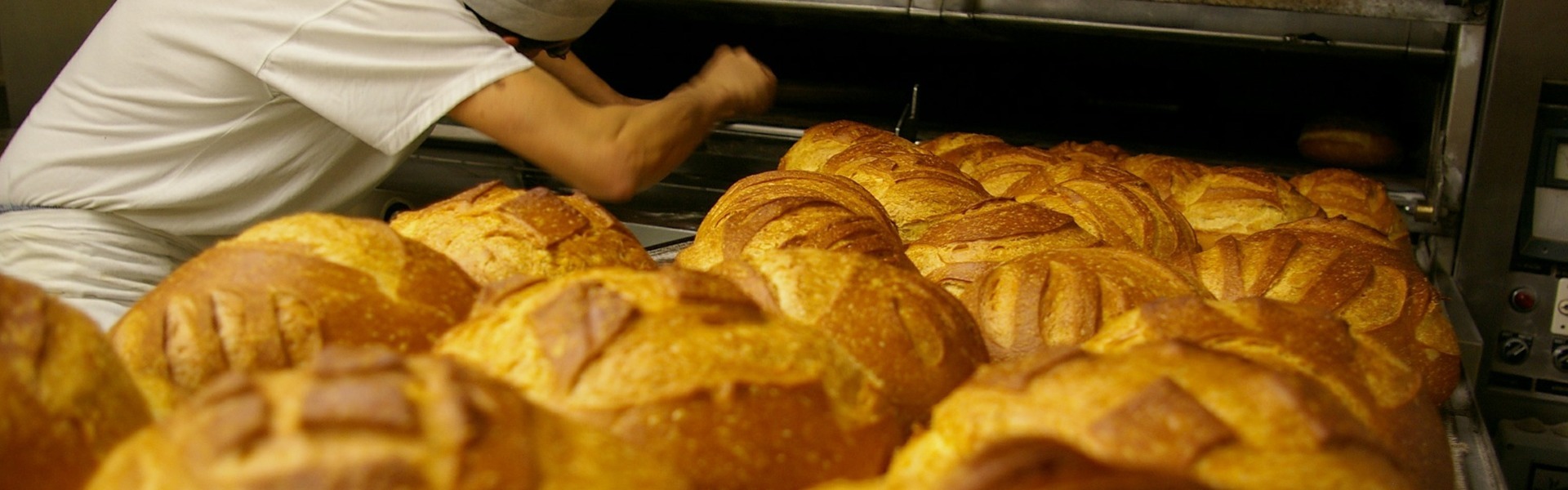 Centre de Gestion Agréé Artisans, commerçants et agriculteurs d'Auvergne et d'Occitanie